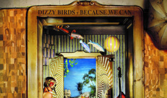 New Release: Because We Can by Dizzy Birds